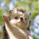 맛짱튀김 이미지