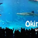 서부게임랜드 이미지