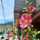 경훈수산유통