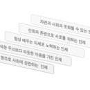 한국니토옵티칼 이미지