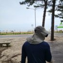 강원도 양양 북분솔밭캠핑장_ 바닷가 캠핑 2박 후기🏕