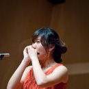 하모니카(실용) 이미지