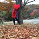 광릉분재예술공원 캠핑장 이미지