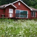 태장공인중개사사무소 이미지