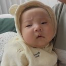 50일 무료 사진 후기 + 원본 수령 내 돈 내산 계약 후기 [인 더 마마 스튜디오]