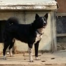 삼손농장 이미지