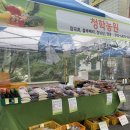 여디디야 양봉원 이미지