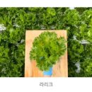 미네팜 이미지