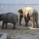 달성공원 이미지