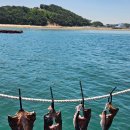 덕진호 좌대낚시터 이미지