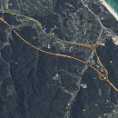 하양혈리 이미지