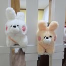 세이지 필라테스 | 부천 필라테스쏘울 에서 핸즈온 체형관리 받은 후기