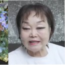 이혜정 스킨