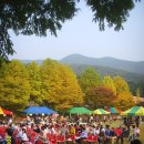 성분도복지관 이미지