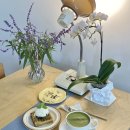 하우카페 | 광주 서석동 신상 카페 하우머치아이러브유 내돈내산 솔직후기