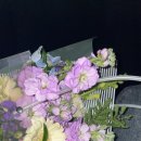 여사랑한의원 이미지