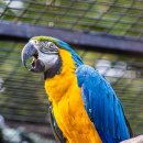 국민연금공단 거창지사 이미지