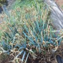 삼동농장 이미지