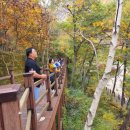 좌구산휴양림 명상의집 이미지