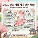 영제한의원 | 인천 수봉공원 벚꽃 아직? | 개화 상황부터 만개 시기, 포토스팟과 주차팁까지 인천 벚꽃 명소 정리