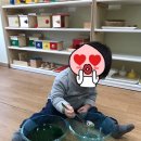 스콜라몬테소리 이미지