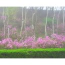 호암미술관 이미지