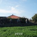 돼지의재발견 - 금천구 가산디지털1로 226 | 돼지의재발견