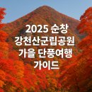 순창군청 | 2025 순창 강천산군립공원 가을 단풍여행 가이드
