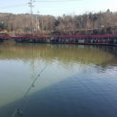 호저낚시터 이미지