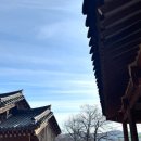 창주서원 | 남원 가볼 만한 창주서원 후기 대나무와 긴 그림자