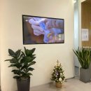 고운채의원 이미지