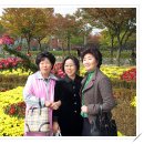 송해초등학교 이미지