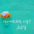 티엔티푸드(주)백조씽크점 | 다이어트하는 이유?