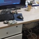 포레스트인교대