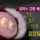 빨간양파