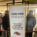 군산 이성당 맛있는 빵 추천 / 이성당 본점 신관 비교 / 이성당 신관 카페 후기