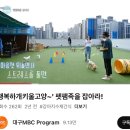 함개하자냥 이미지