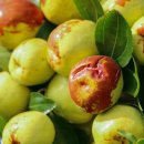 유한농장 이미지