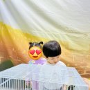 쥬니멀 이미지