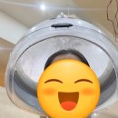 미소헤어제품 | 빗자루 같던 손상모가 찰랑머리로! 둔산동미용실 비안이즈 대전둔산점 헤어클리닉 후기