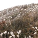 거창-고제-14 | 3차대간(21) : 변덕스런 덕유산