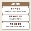 국민렉산