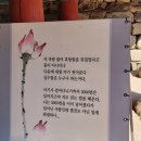 여원치 마애불 | 언택트 관광지 완주 위봉사