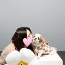 맛있개도 냥냥’ 반려동물 수제간식 만들기 | 요즘 일상