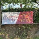 부산면관 용궁사본점 이미지