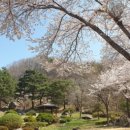 통도 파인이스트 컨트리클럽 이미지