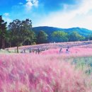 가산수피아 이미지