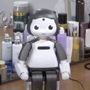 쪼꼬미네 이미지