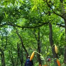 비학산 삼봉산 암산 경기 파주(24.6.12) 이미지