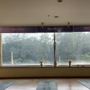 11260-1-면목로84 - 5 | 다시 일상 근데 이제 동남한국을 곁들인